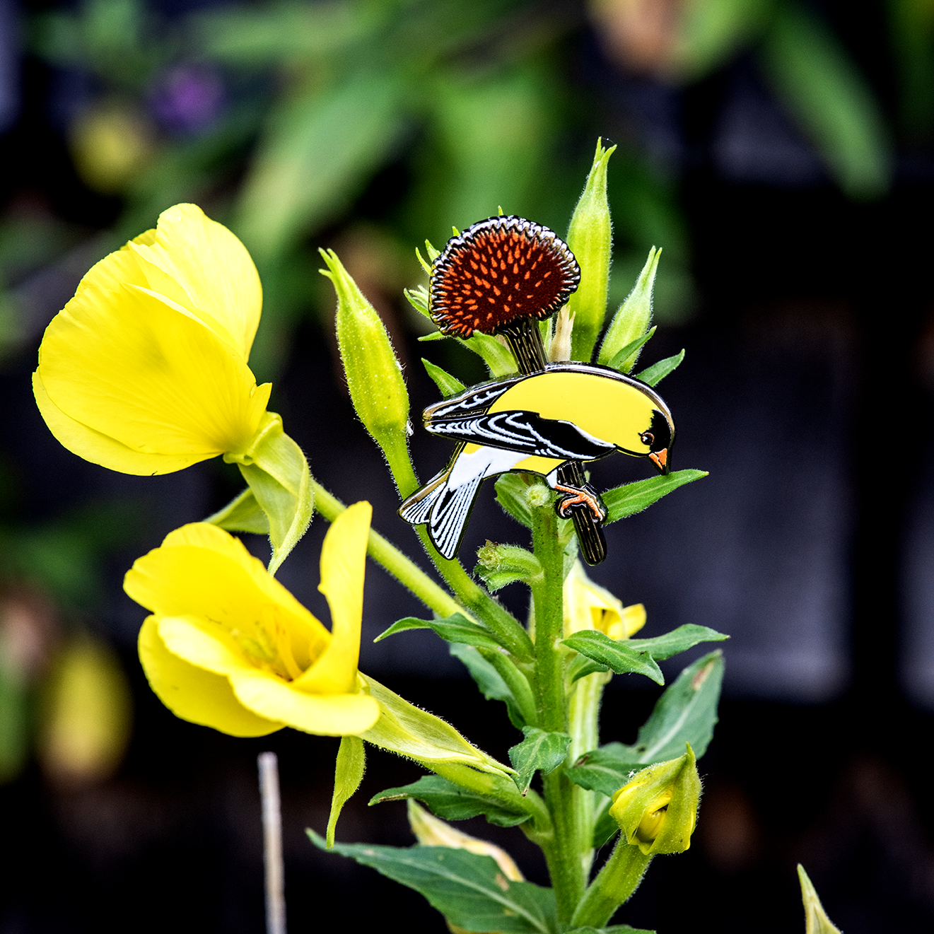 American Goldfinch Enamel Pin by The Roving House