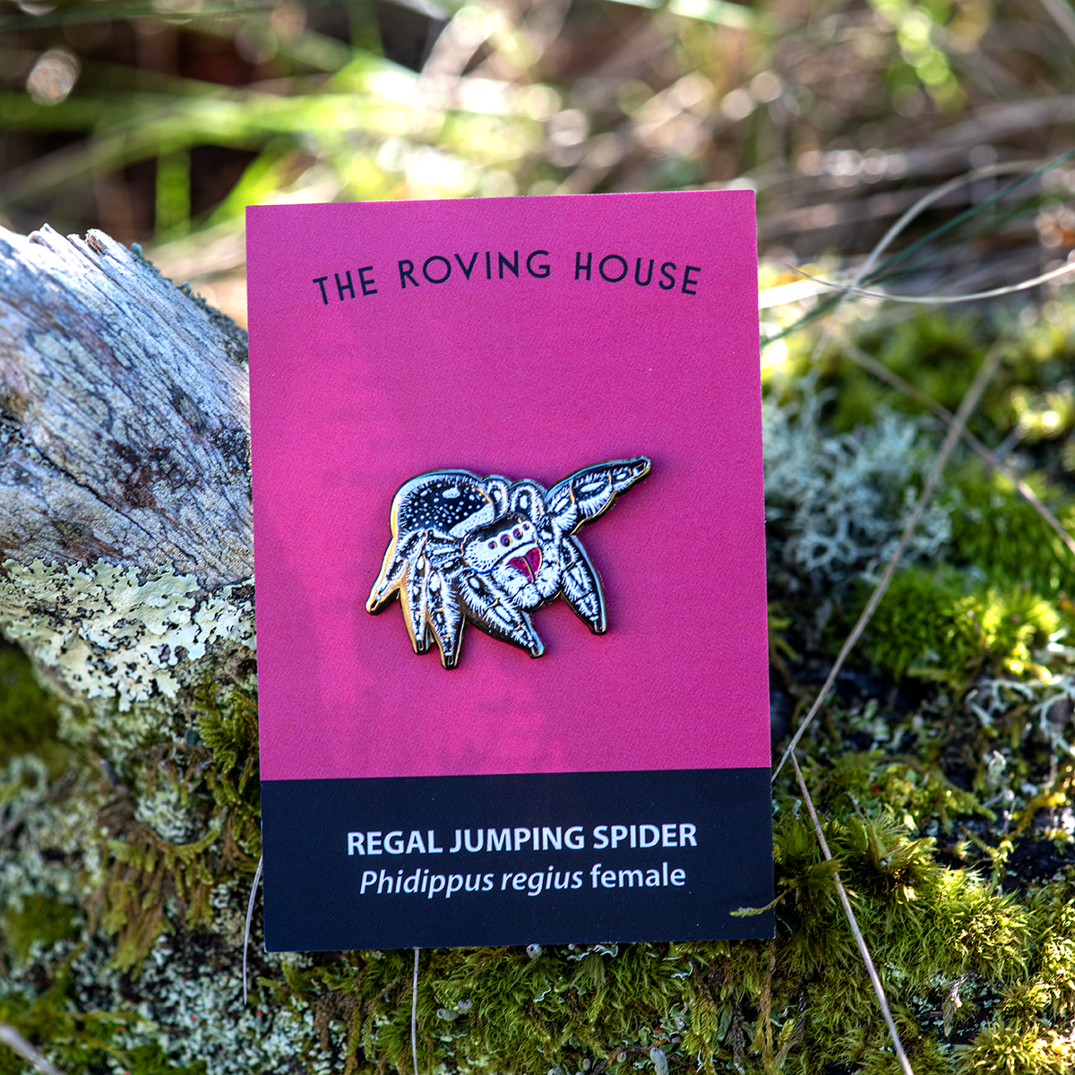 Regal Jumping Spider Female Enamel Pin