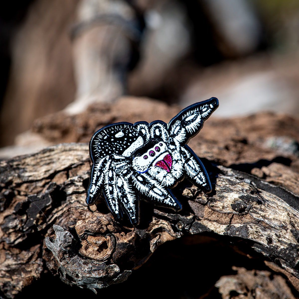 Regal Jumping Spider Female Enamel Pin