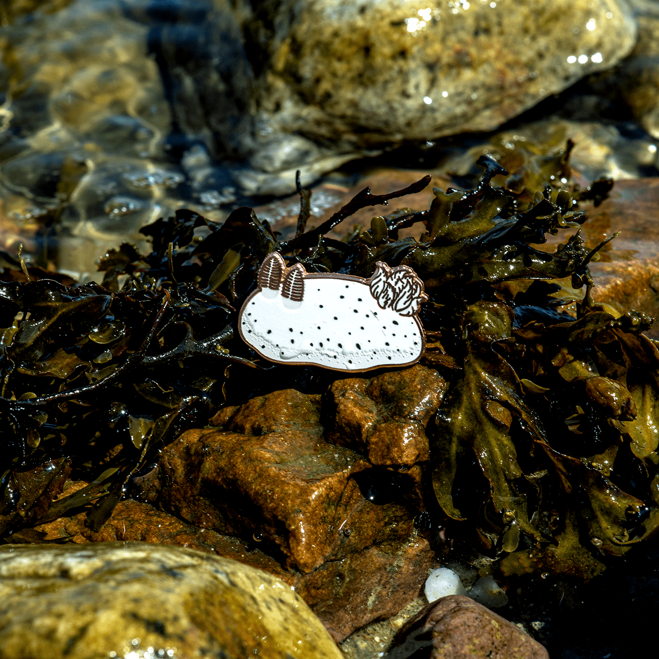 Sea Bunny Nudibranch Enamel Pin by The Roving House