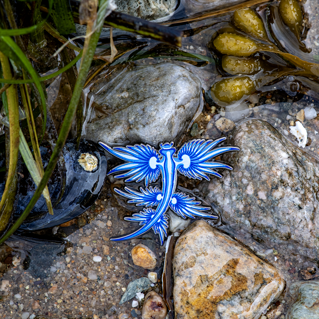 Blue Dragon Nudibranch Enamel Pin by The Roving House