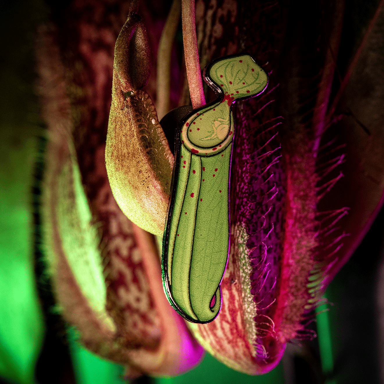 Pitcher - loving Crab Spider Enamel Pin by The Roving House