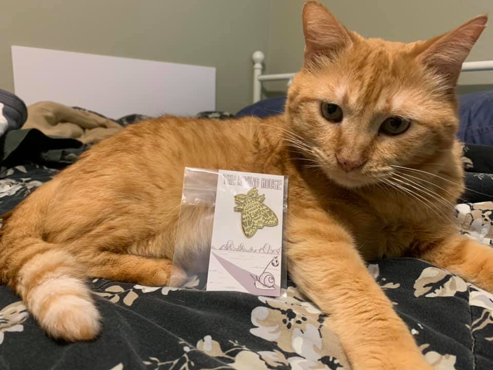 Give Me Your Moth Memes Enamel Pin