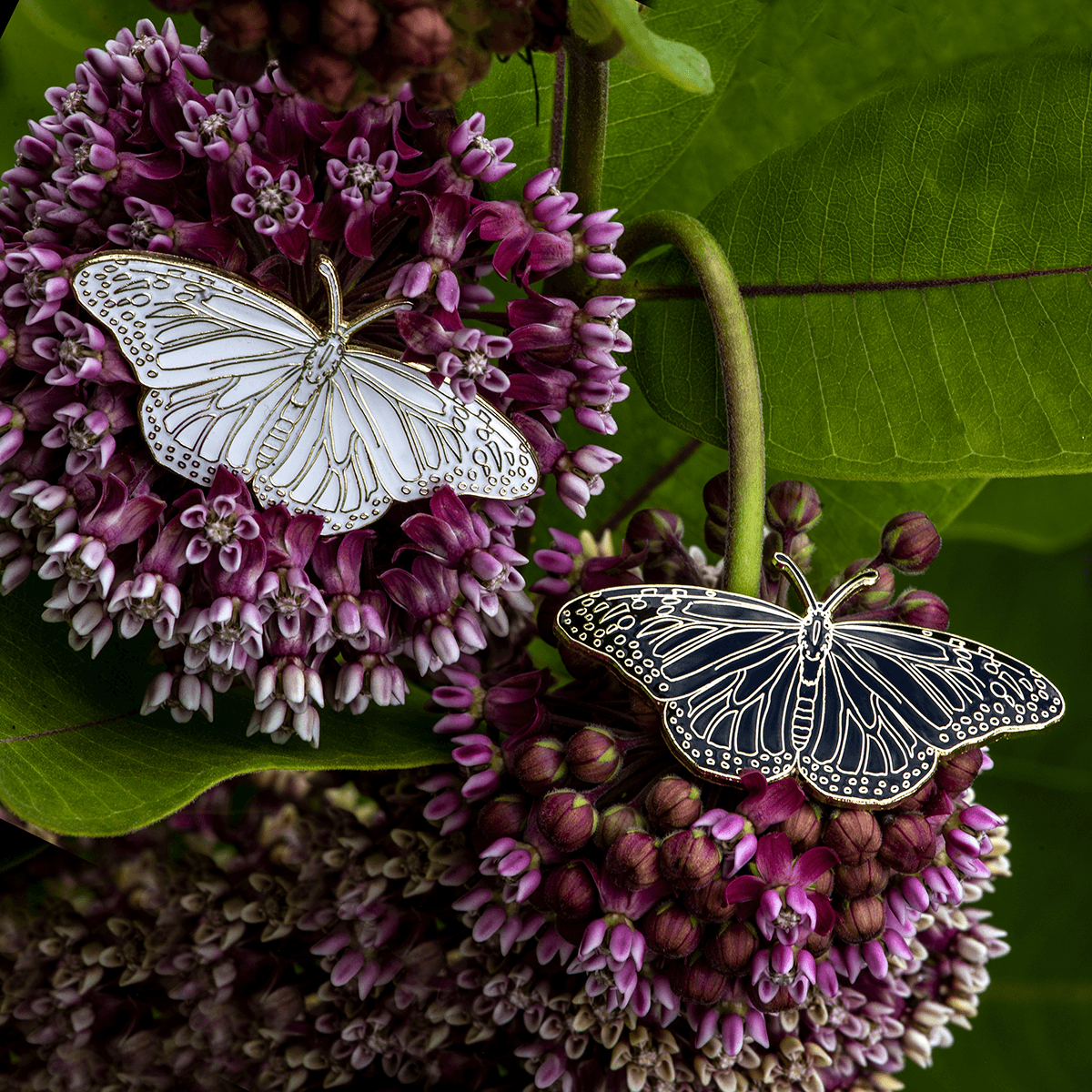 Monarch Butterfly Enamel Pin - Blackout by The Roving House