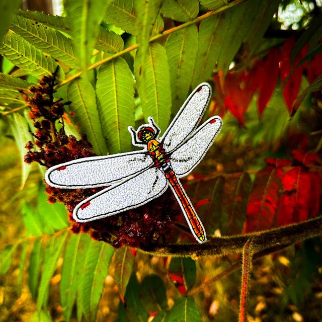 Akiakane Red Darter Dragonfly Iron - on Patch by The Roving House