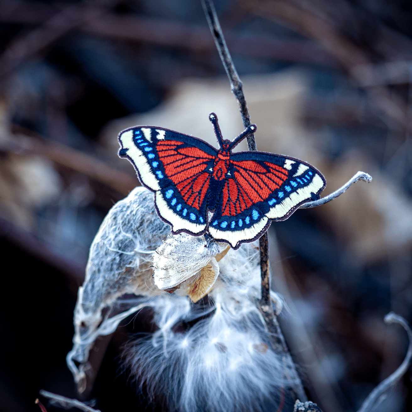 Mourning Cloak Butterfly Patch by The Roving House