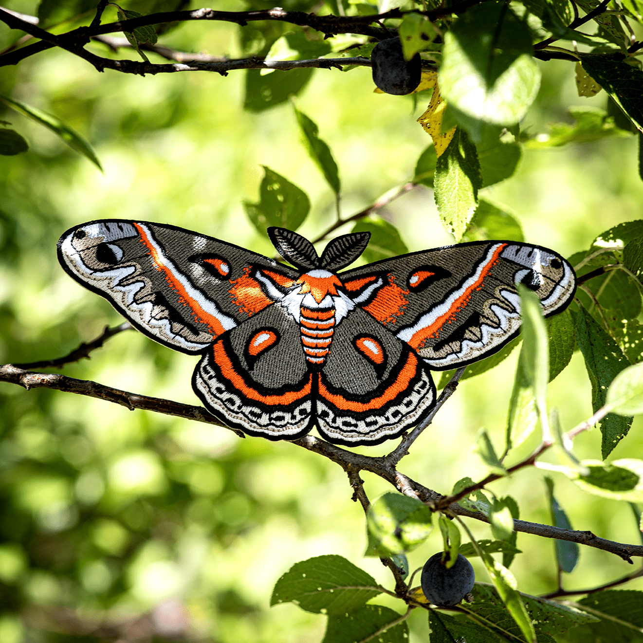 Cecropia Moth Life Size Patch by The Roving House
