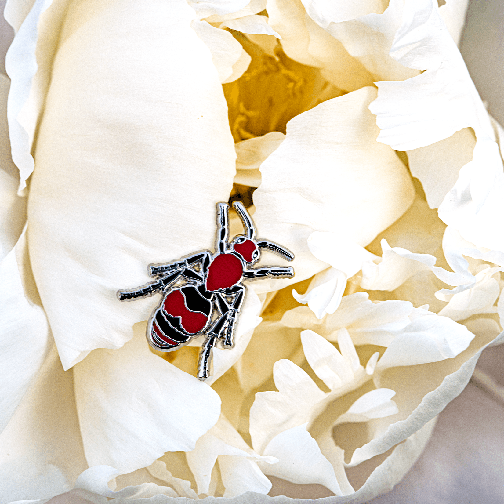Cow Killer Velvet Ant Pin by The Roving House