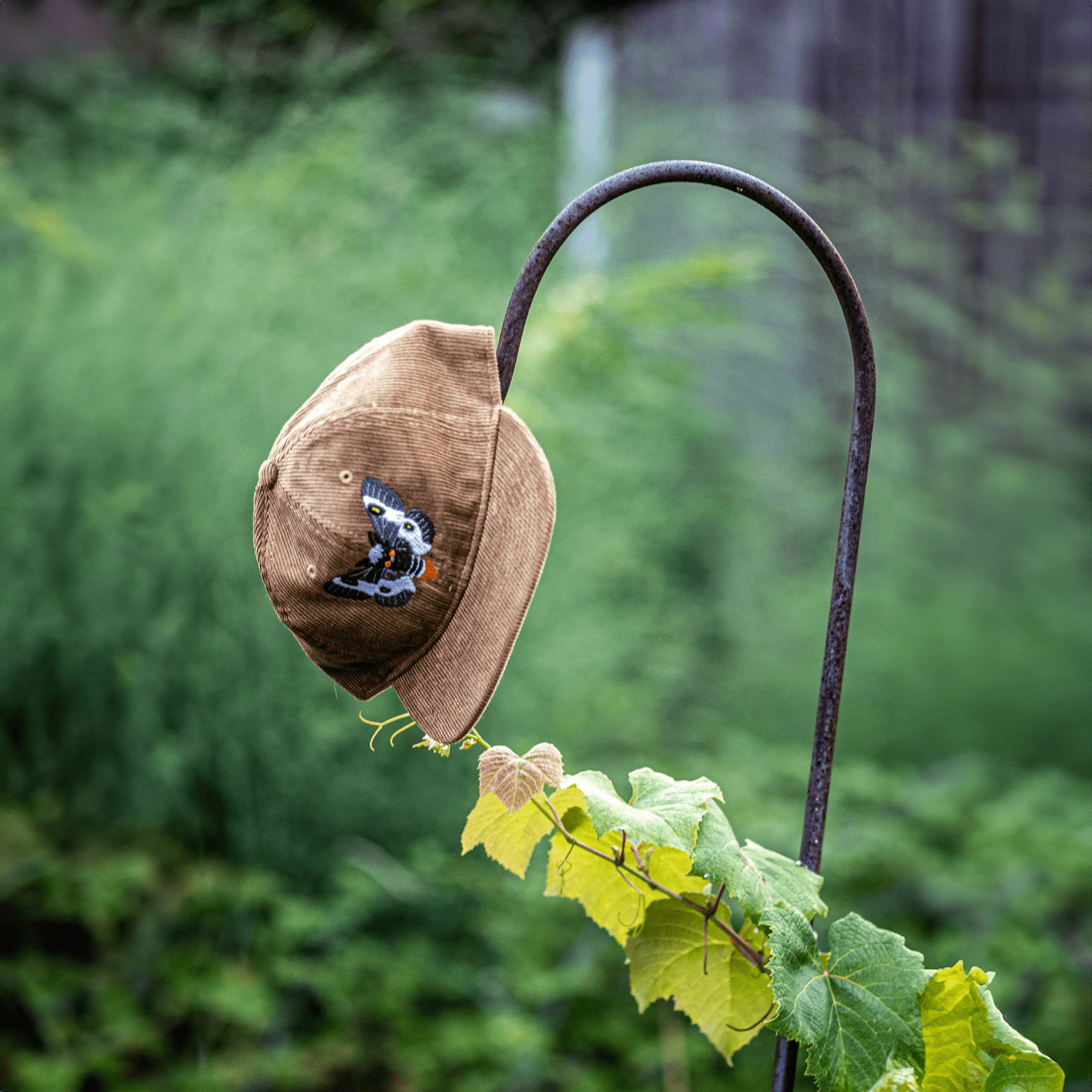 The Barrens Buckmoth Corduroy Hat by The Roving House