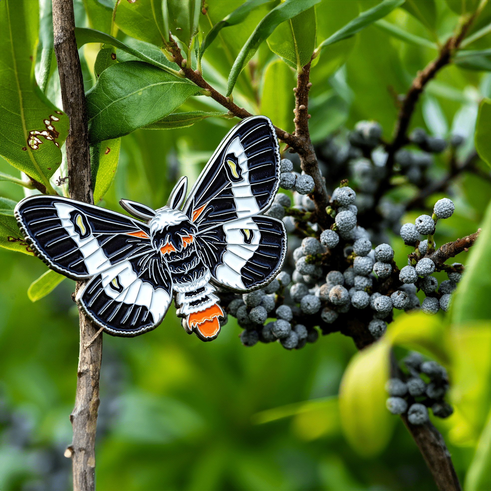 Barrens Buckmoth Male Pin by The Roving House