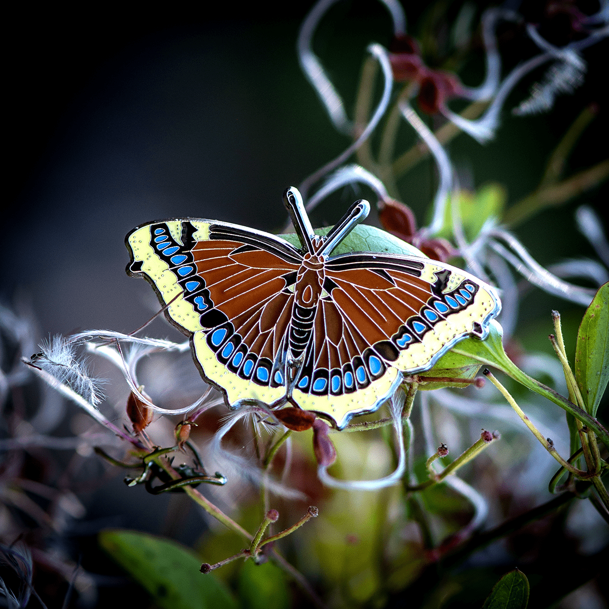 Mourning Cloak Butterfly Patch by The Roving House