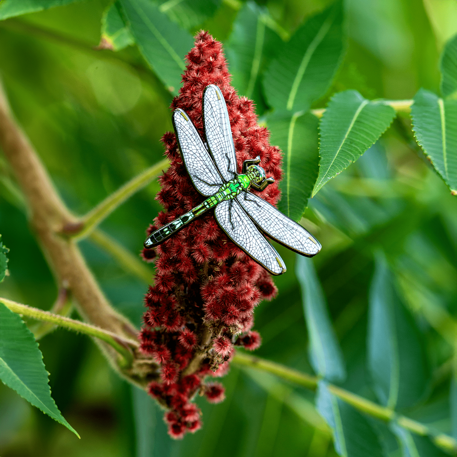 Eastern Pondhawk Dragonfly Pin by The Roving House