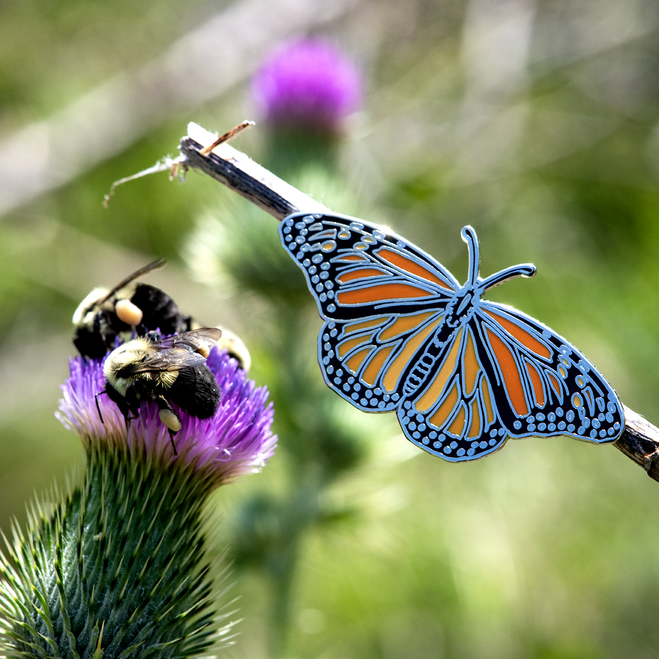 Monarch Butterfly Enamel Pin by The Roving House