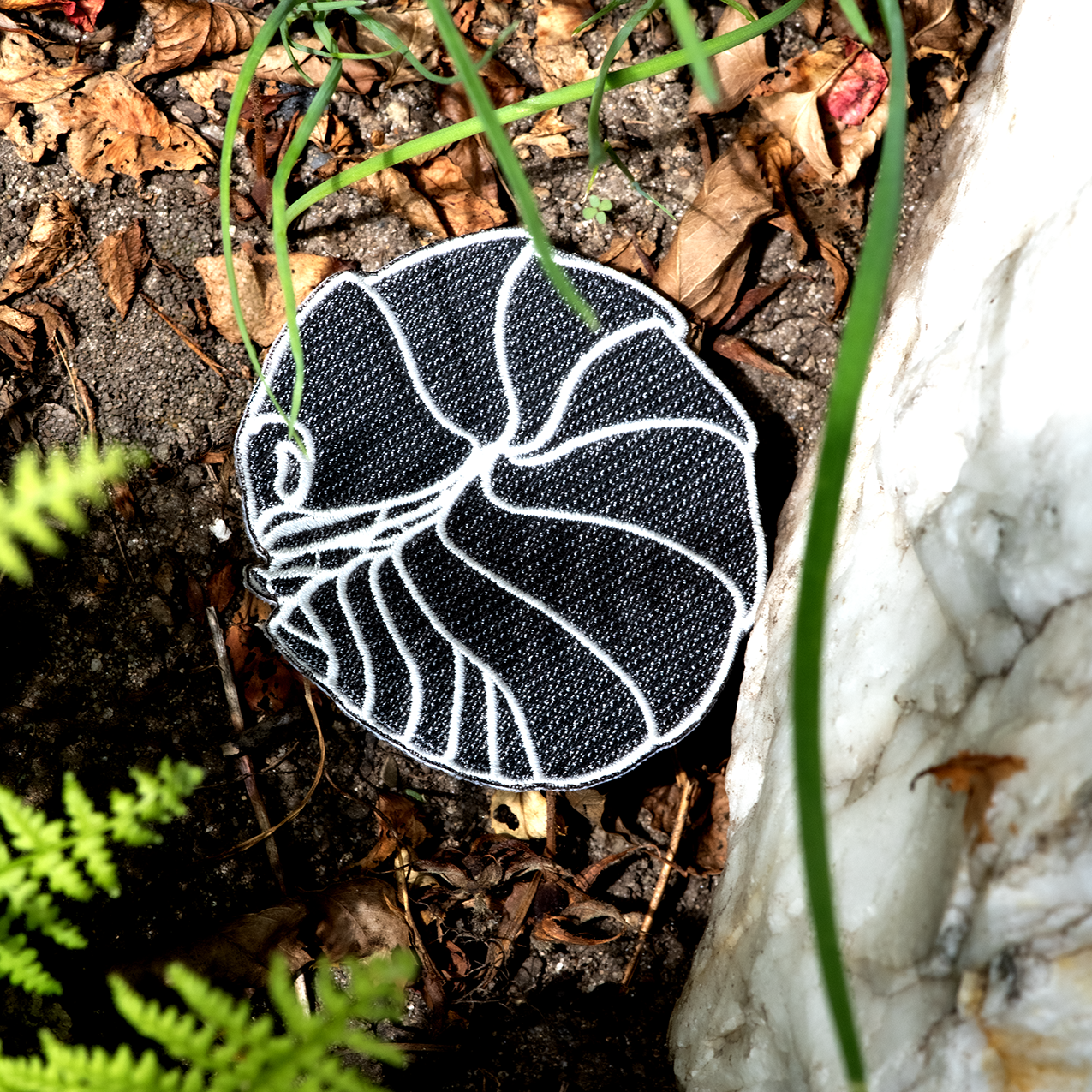 Isopod Bug Box