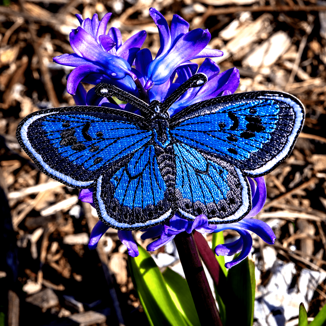 Large Blue Butterfly Iron-on Patch by The Roving House