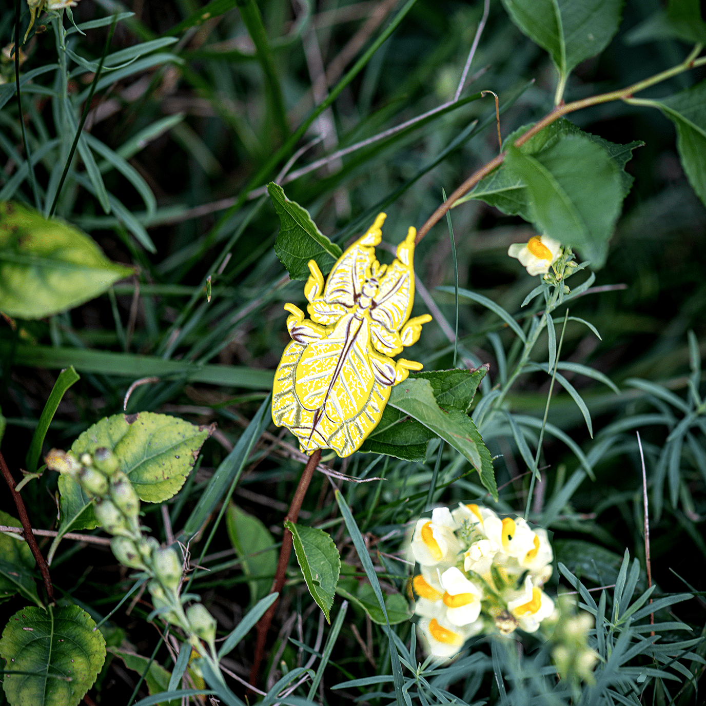 Walking Leaf Insect Enamel Pin by The Roving House