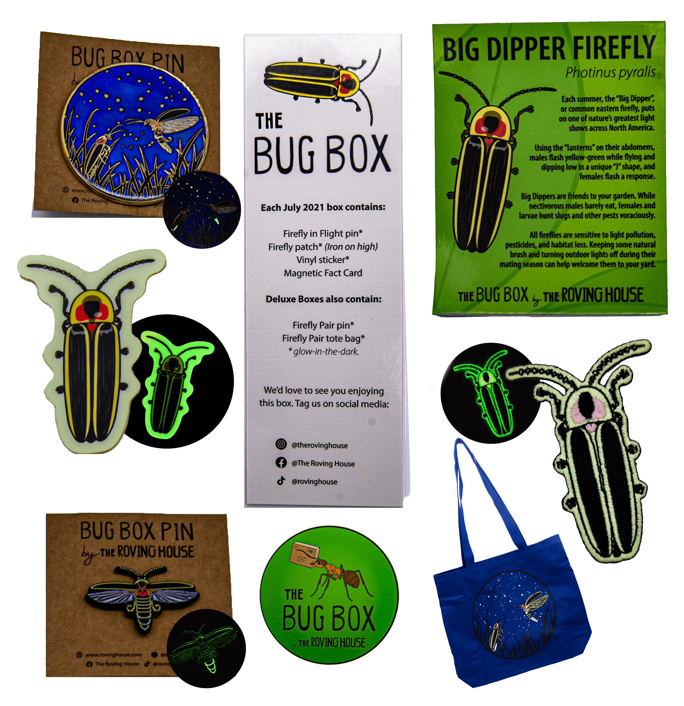 July 2021 Bug Box (Big Dipper Firefly)