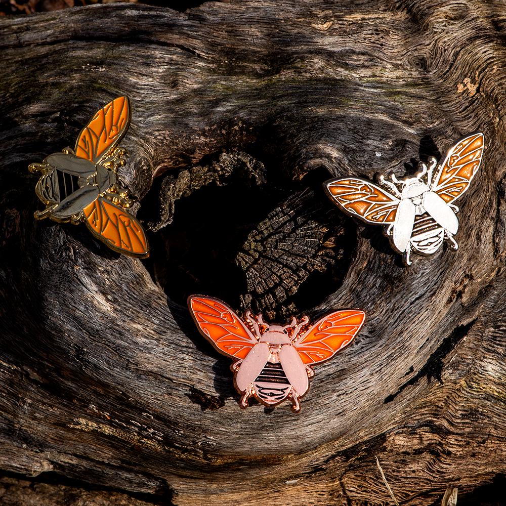 March 2022 Bug Box (Jewel Scarab Beetles)