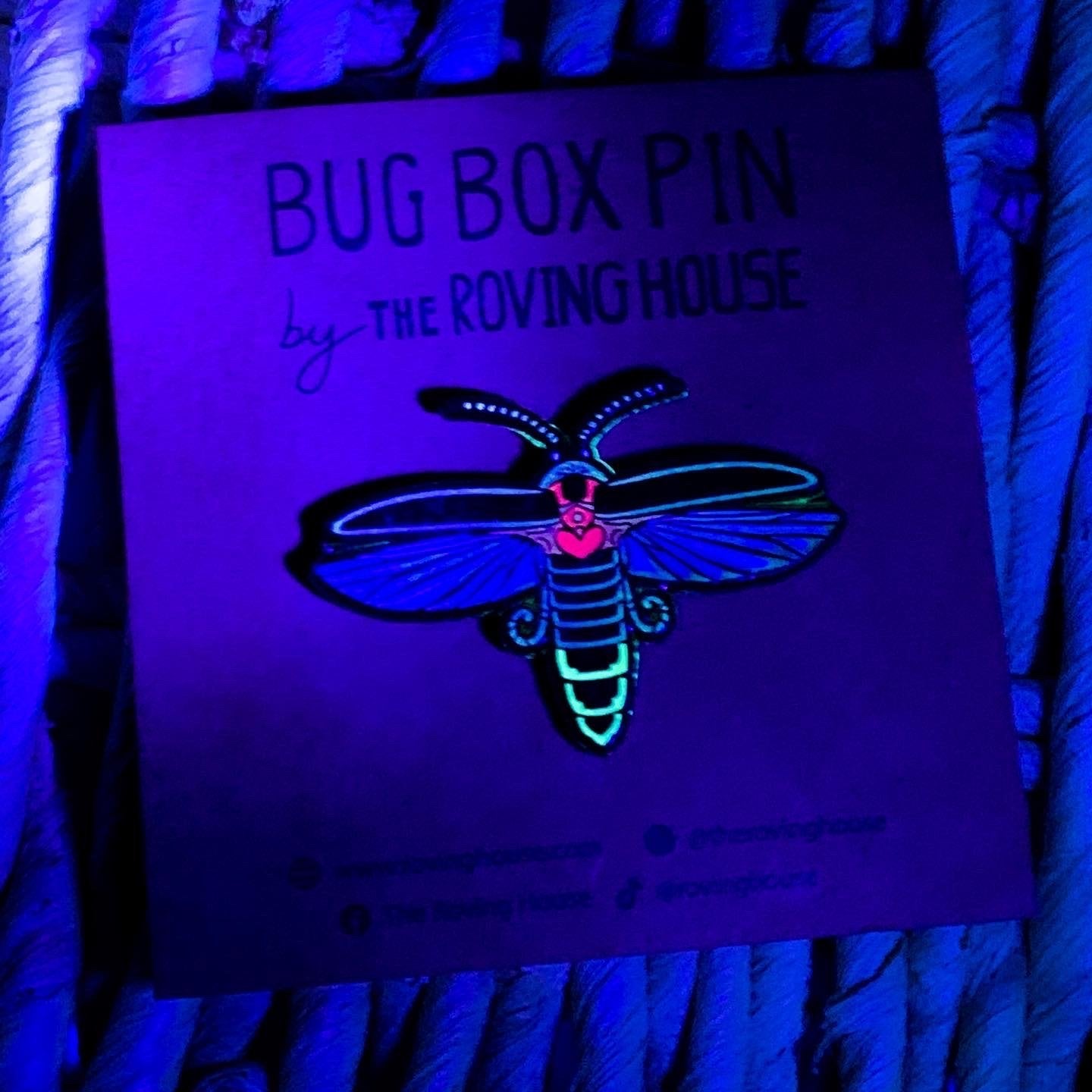 July 2021 Bug Box (Big Dipper Firefly)