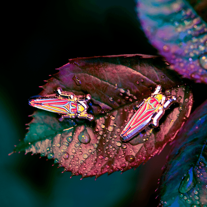 Candy Striped Leafhopper Mini Enamel Pin Set by The Roving House