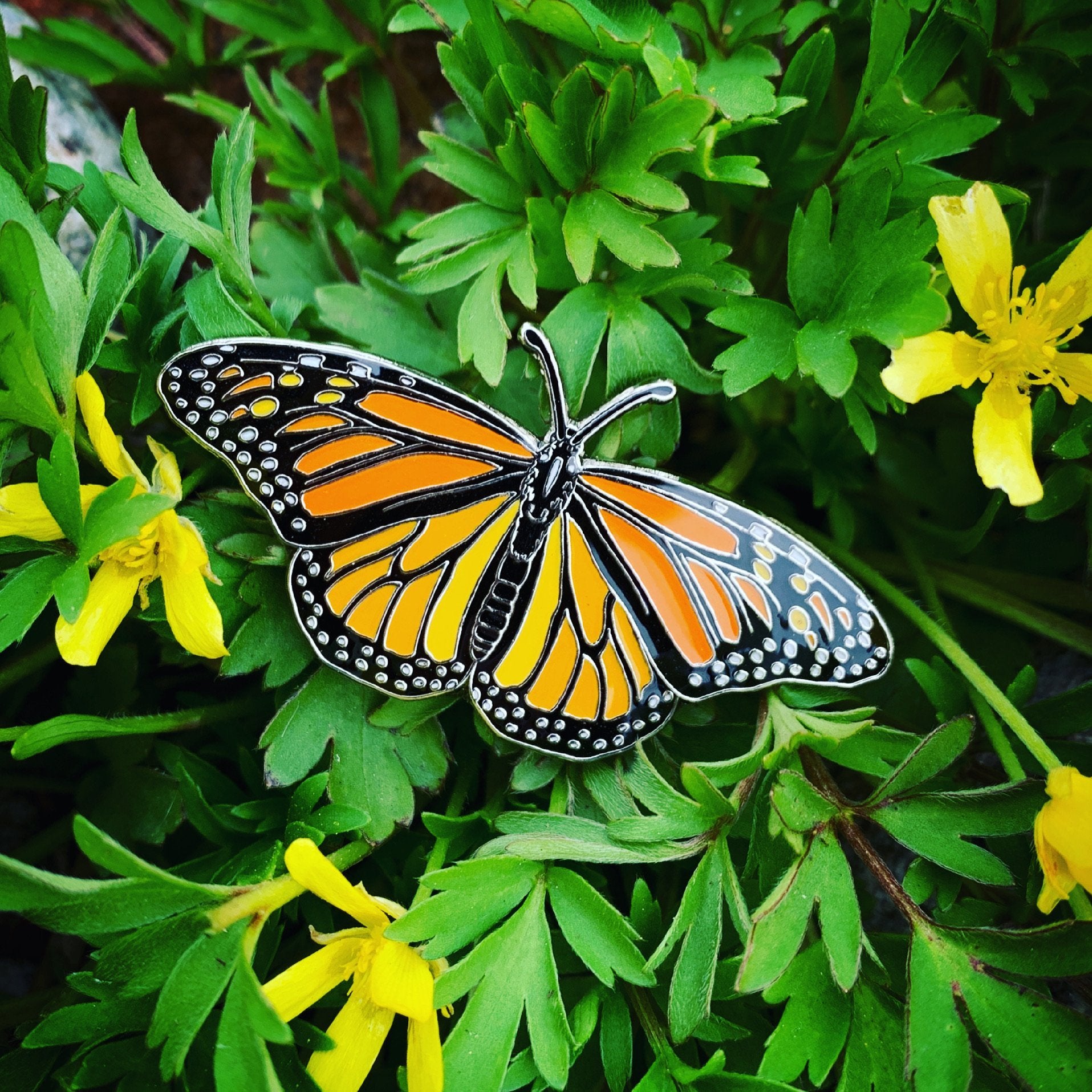 An enamel pin of a monarch butterfly, perched on Early Buttercup (Ranunculus fascicularis) flowers.