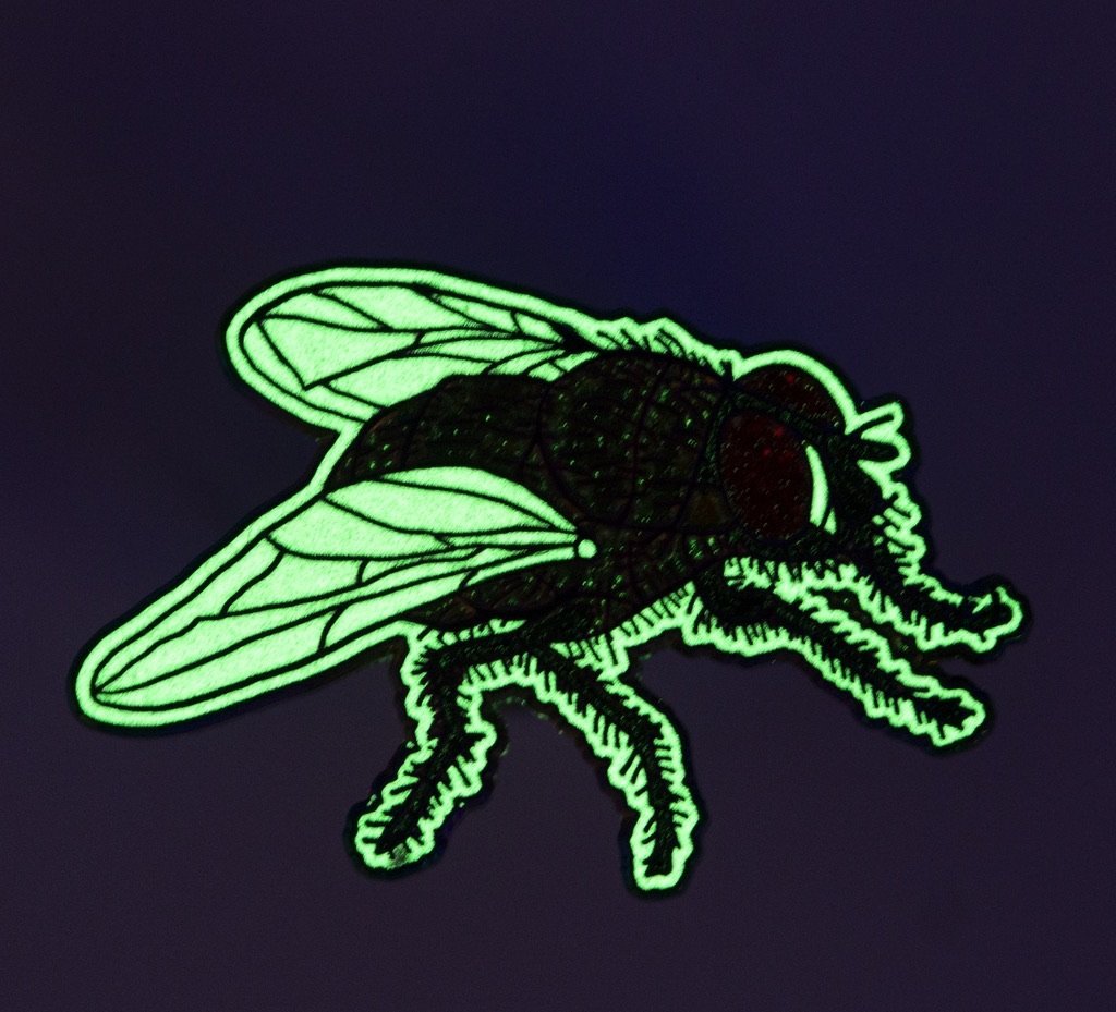 Rainbow Fly Enamel Pin (Limited Edition)