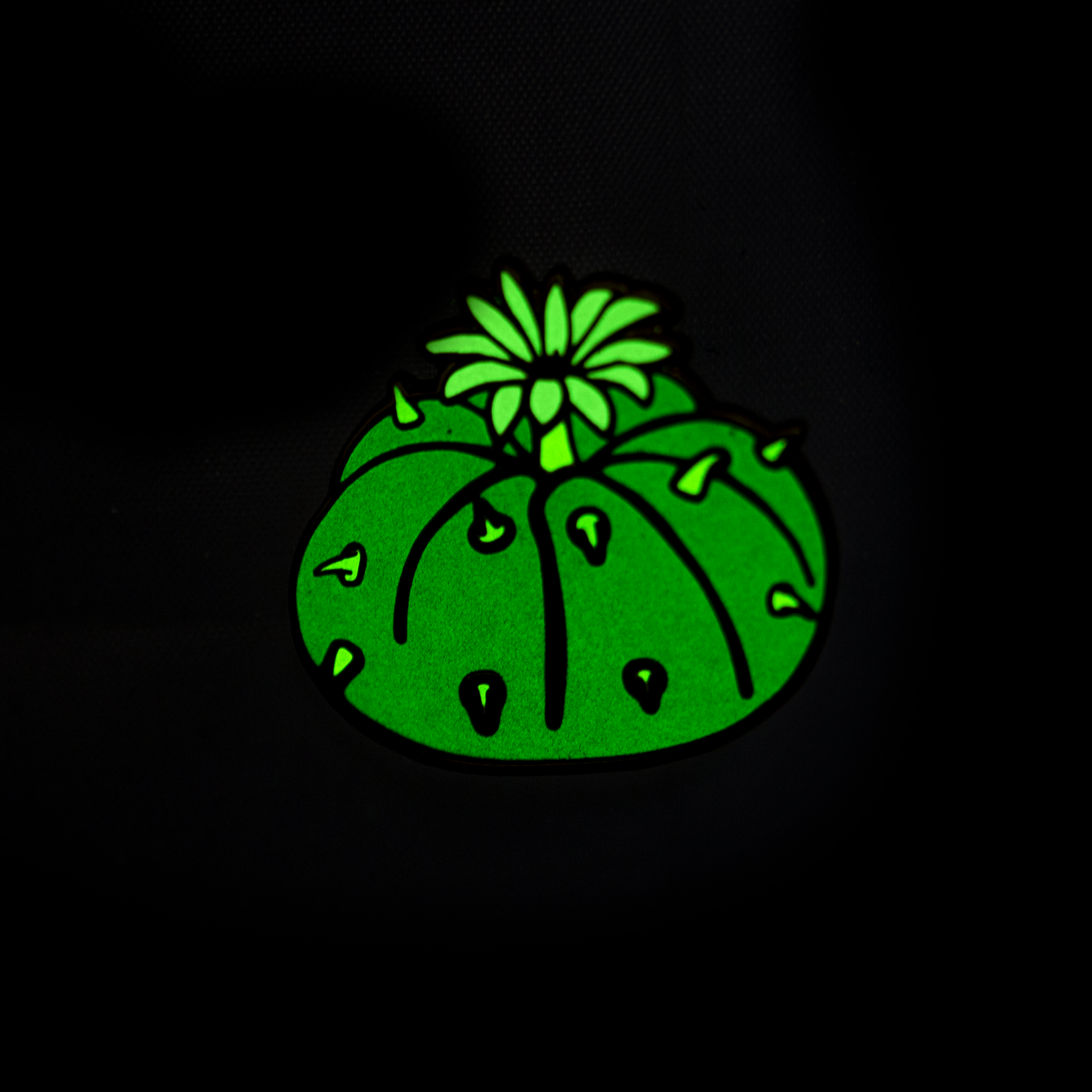 Button Cactus Enamel Pin