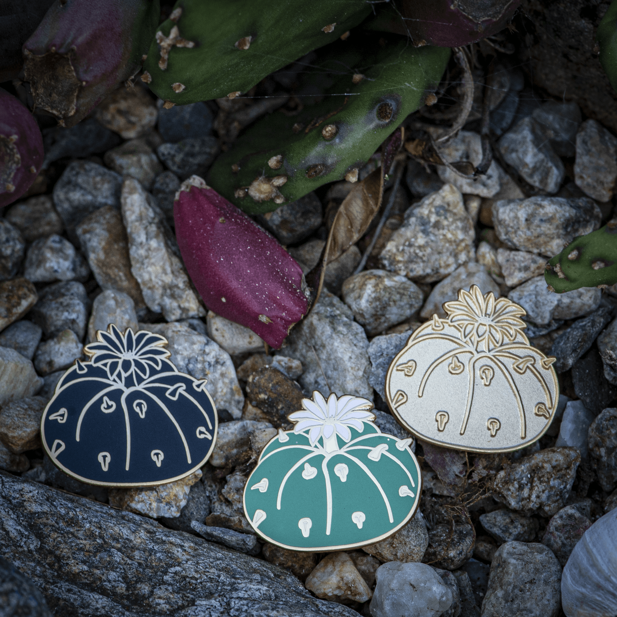 Button Cactus Enamel Pin