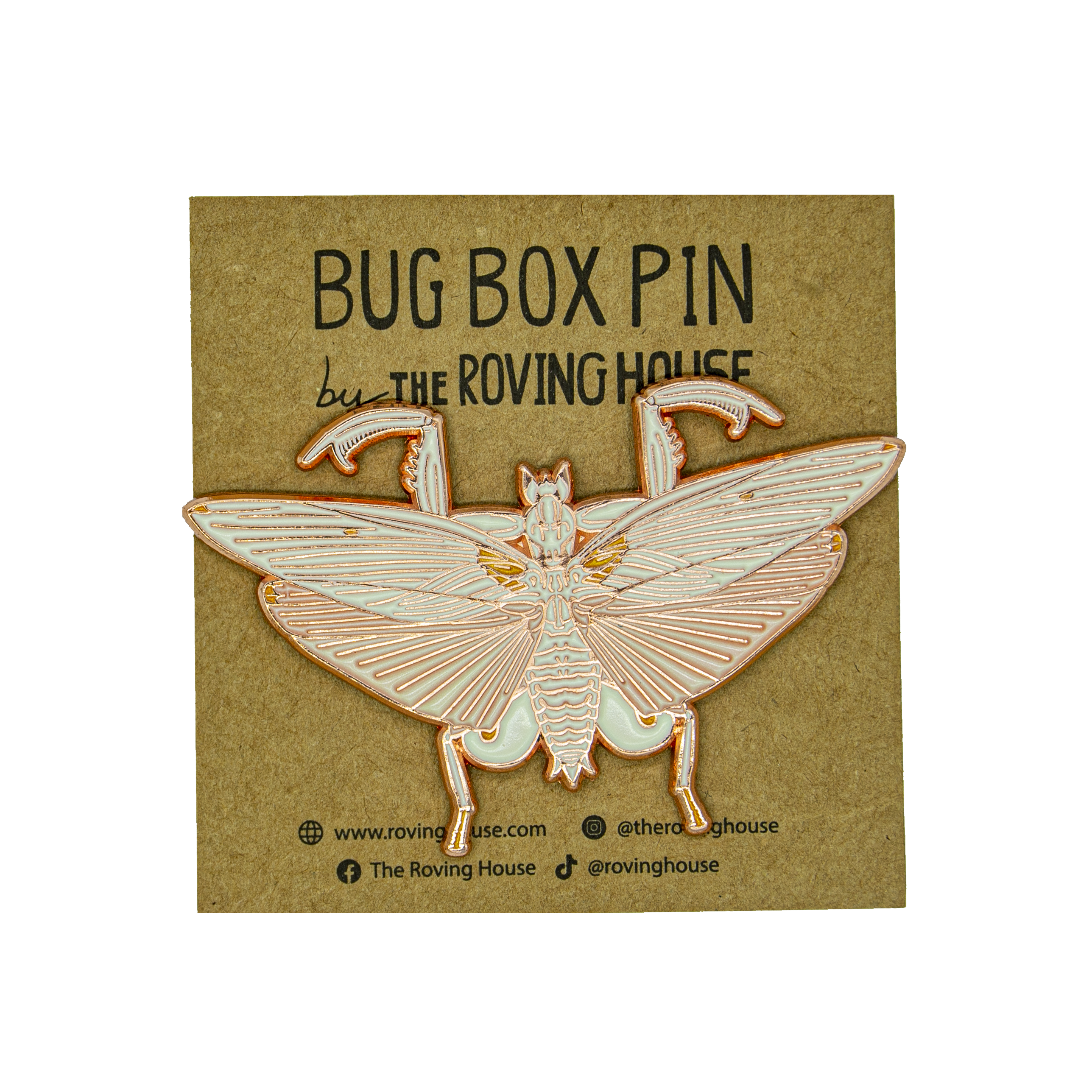 September 2021 Bug Box (Orchid Mantis)